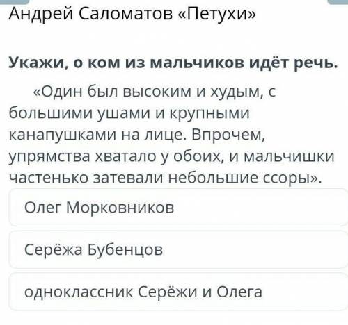 Укажи, о ком из мальчиков идёт речь. Рассказ Петухидам 15б​