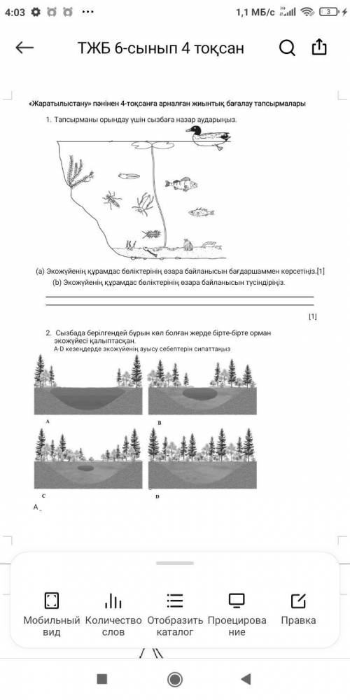 Естествознание Соч 6 класс 4 четверть