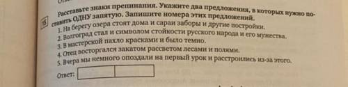 В каких 2х предложениях должна стоять 1 запятая? Почему?