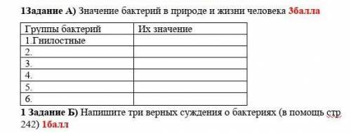 Значение бактерий в природе и жизни человека Группы бактерий Их значение1.Гнилостные 2. 3. 4. 5. 6.