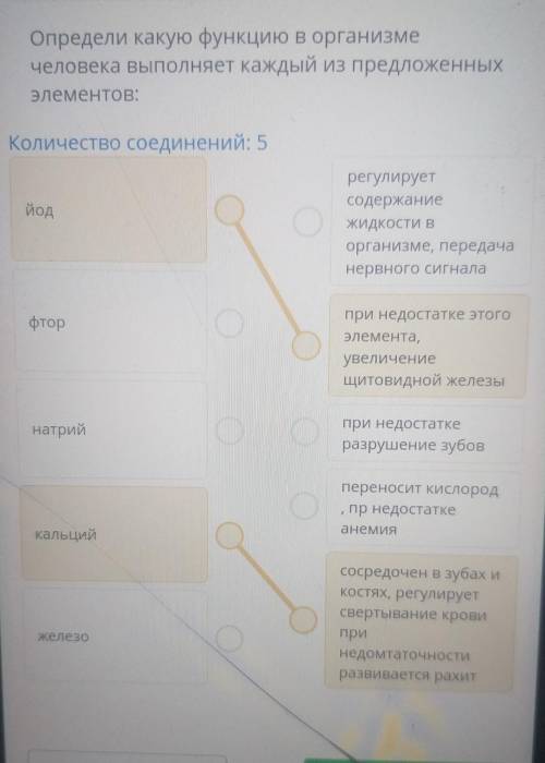 Определи Какую функцию в организме человека выполняет каждый из предложенных элементов​