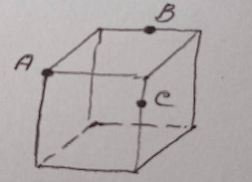 Постройте сечение куба, проходящее через точки A, B, C​