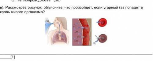 Рассмотрев рисунок, объясните, что произойдет, если угарный газ попадет в кровь живого организма? [1