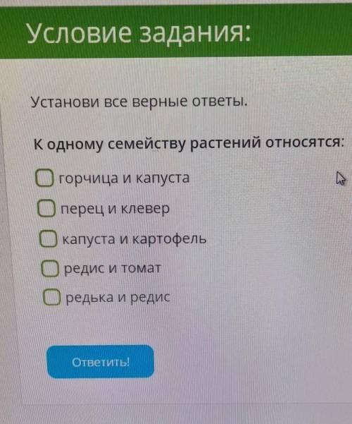 Установи все верные ответы к одному семейству растений относятся​