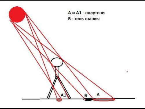 Почему тень от ног человека на дороге более четкая чем тень головы?