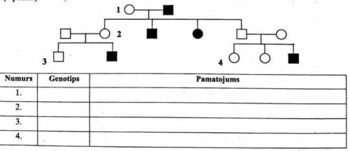 1)Запишите генотипы членов семьи, отмеченные цифрами! Для тех членов семьи, для которых это неоднозн