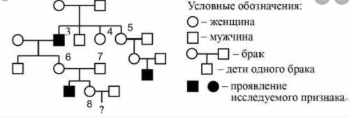 1)Запишите генотипы членов семьи, отмеченные цифрами! Для тех членов семьи, для которых это неоднозн