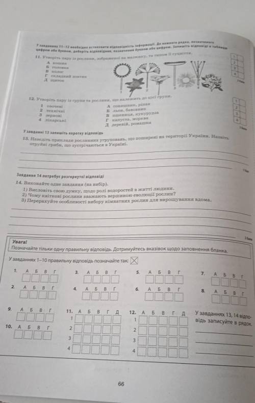 Узагальненнята систематизація знань (2 семестр) 6 клас​