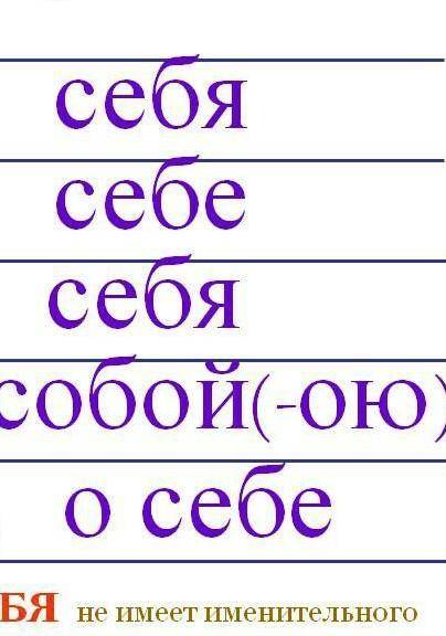 Просклонять местоимения Он, Себя, Они​