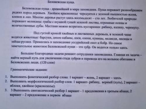 Как сделать морфологический разбор слова яблоки , скоро экзамен.