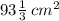 93\tfrac{1}{3} \: \small {cm^{2} }