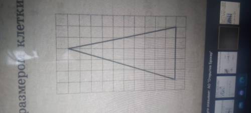 Сколько площадь у этого треугольника?