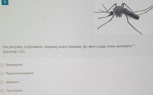 На рисунку зображено тварину класу Комахи.До якого ряду вона належить?​