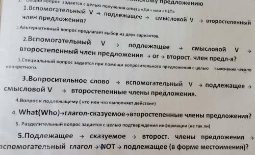 Составьте 5 вопросов к 2 предложениям: (На фото будет написано 5 типов вопросов к предложениям как и