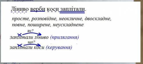 Линиво верби коси заплитали синтаксичний розбир речення, виписати два словосполучення