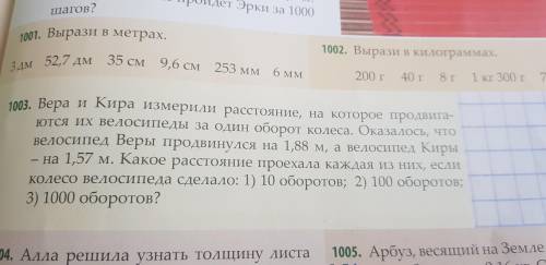 Добрый день с задачей и обьяснения,если это возможно Н.1003