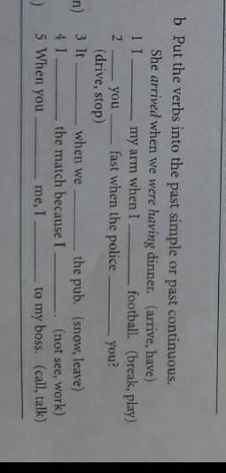 Put the verbs into the past simple or past continuous. ​