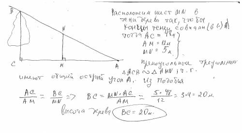 шест длинны 5м отбрасывает тень длины 12 м . какова высота дерева , тень которого в тот же момент вр