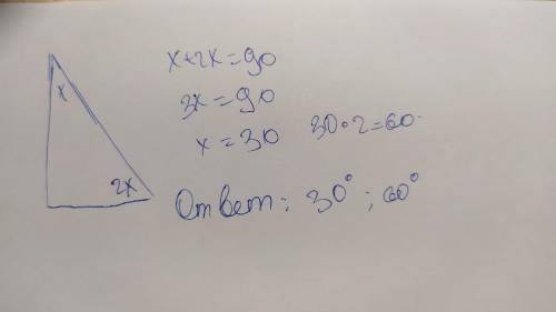 Один из острых углов прямоугольного треугольника в 2 раза больше другого найдите эти углы