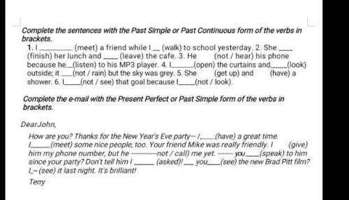 Complete the sentences with the Past Simple or Past Continuous form of the verbs in brackets.