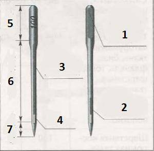 соотнести номера частей иглы и их названия колба и номер иглы на нейплоская сторона колбыушкотело иг