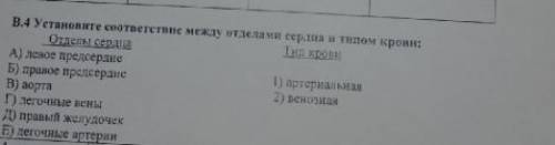 Установите соответствие между отделами сердца и типом крови