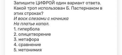 Подскажите ответ и объясните почему именно это вы выбрали а другую​