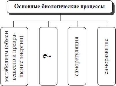 Рассмотрите предложенную схему Основные биологические процессы. Запишите в ответе пропущенный терм