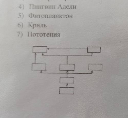 5. Из предлагаемых элементов составить цепь передачи веществ и энергии большой 2) Синий кит 3) Леопа