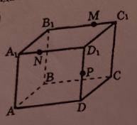 Постройте сечение фигуры,проходящее через точки C,N и P