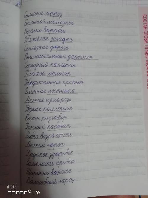 Впишите нужную гласную в корне слова. Запиши проверочное слово. Подчеркни словарное слово. Прикрепил