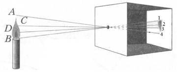 На рисунке показан ход лучей, идущих от пламени свечи, в камере – обскуре. Выберите из предложенного