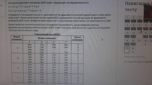 Нужна с решением фрагментом молекулы ДНК