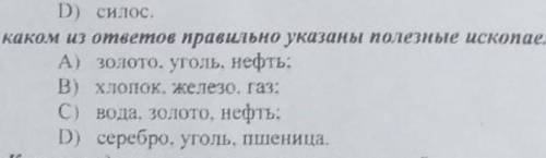 В каком ответе правельно написано полезные ископаемые​