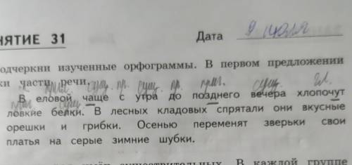 подчеркни изученные орфограммы 3 класс в первом предложении укажи части речи Подскажите все орфограм