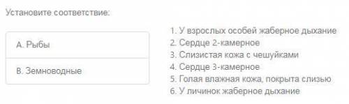 1) Из чего состоит нервная система рыб? 2) Чем питается лягушка? 3) (на фото)