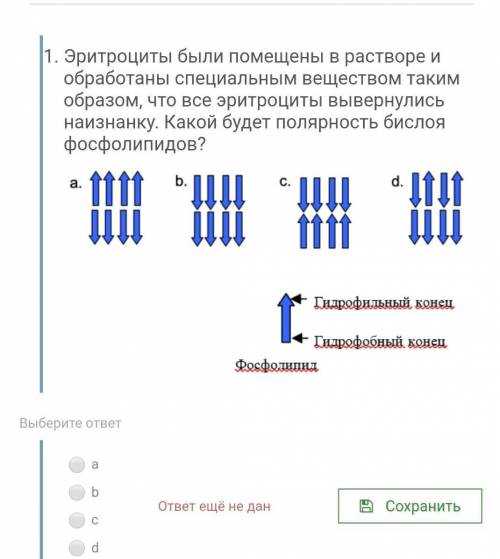 Эритроциты были помещены в растворе и обработаны специальным веществом таким образом, что все эритро