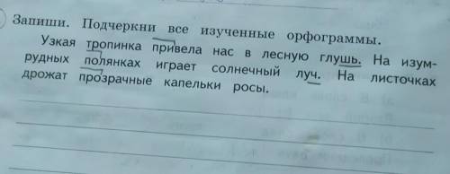 Запиши и подчеркни все изученные орфограммы ​