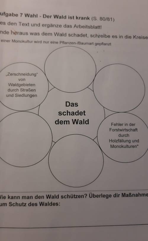 Задание:Lies den Text und ergänze das Arbeitsplatz! Finde heraus was dem Wald schadet,schreibe es in