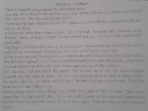 What did the boys do when they saw a big bear hat did the bear do in the room? Did the young man kil