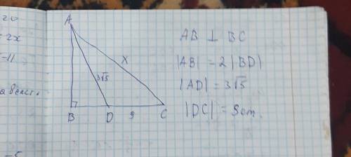 решить , геометрия ,Найдите х