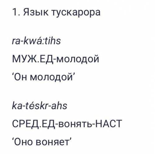 По данным отглоссированным примерам определите, являются ли слова, которые переводятся на русский ка