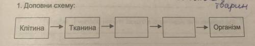 1. Доповни схему: Клітина—тканина—……—……—Організм