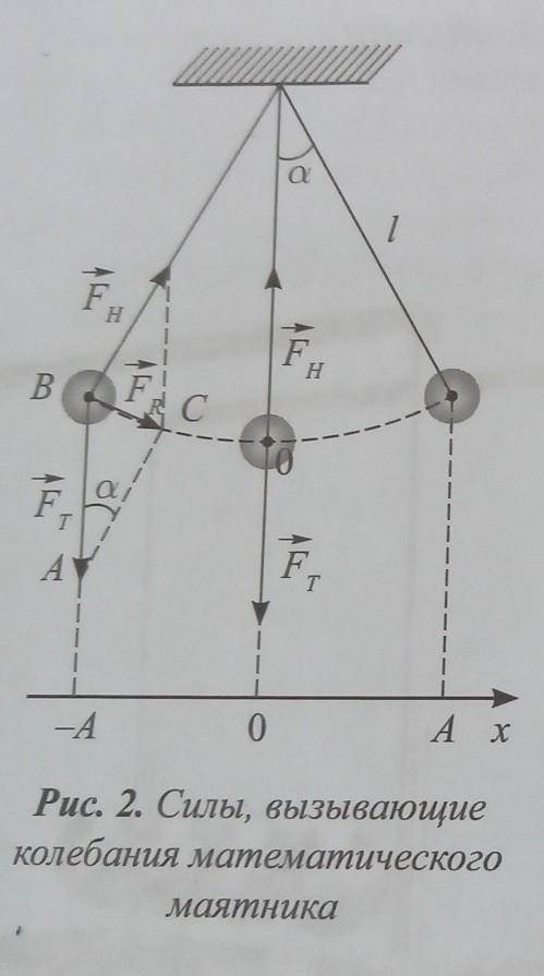 Задание 2 Колебания математического маятника происходят под действием равнодействующей сил, которая