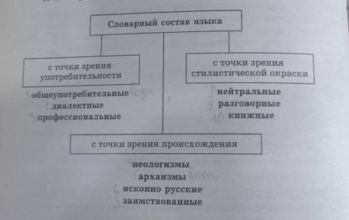 по этой схеме надо охарактеризовать слова Кушак, Шиппер, Ланиты, Желе, Гипотеза.