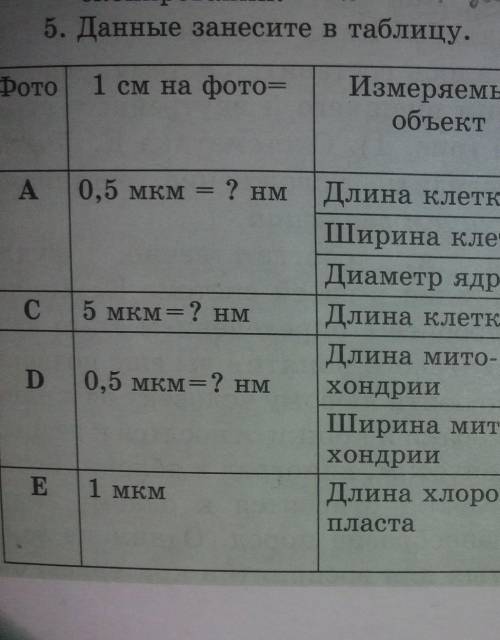 n you 5. Данные занесите в таблицу. Фото 1 см на фото? Измеряемый объект Ha фото, Реальный размер, Н
