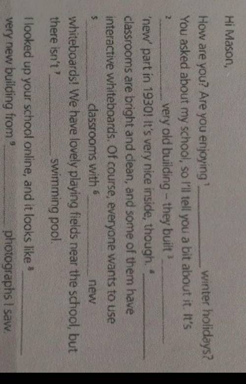 Complete the gaps with a/an, the or no article (-)