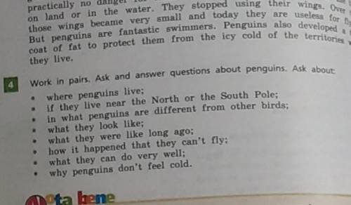 Work in pairs. Ask and answer questions about penguins.