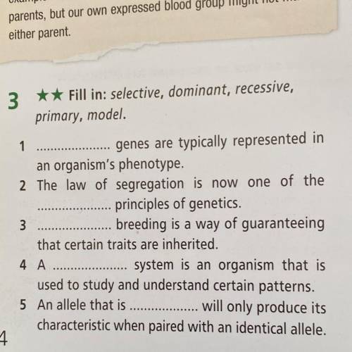 Fill in: selective, dominant, recessive,primary, model. 1 genes are typically represented in an org