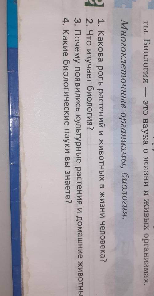 несколько чесов не могу сделать.ответьте на вопросы.